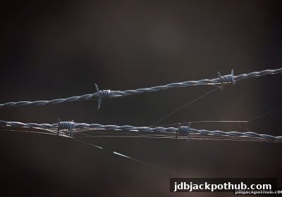 透明度评估指南：如何借助jdb电子超级大奖挑选可靠平台